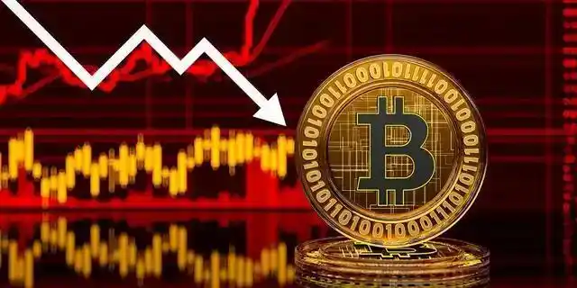 比特币市场占比代表什么_比特币作为数字资产的独特性：如何在全球市场中占据领导地位_比特币占有量